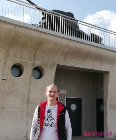 andrzej, Mężczyzna, 38, Lubin, Polska, Zdjęcie: 11