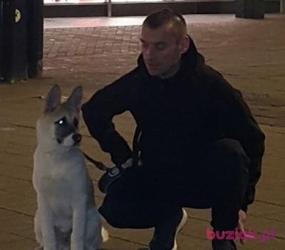 Marcinekh.., Mężczyzna, 49, Wielka Brytania, Zdjęcie: 2