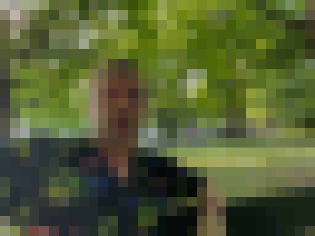 Artur, Male, 53, Hamburg, Niemcy, Photo: 12