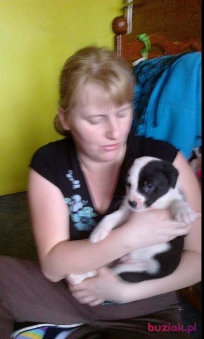 sylwia, Kobieta, 42, Siedlce, Polska, Zdjęcie: 4