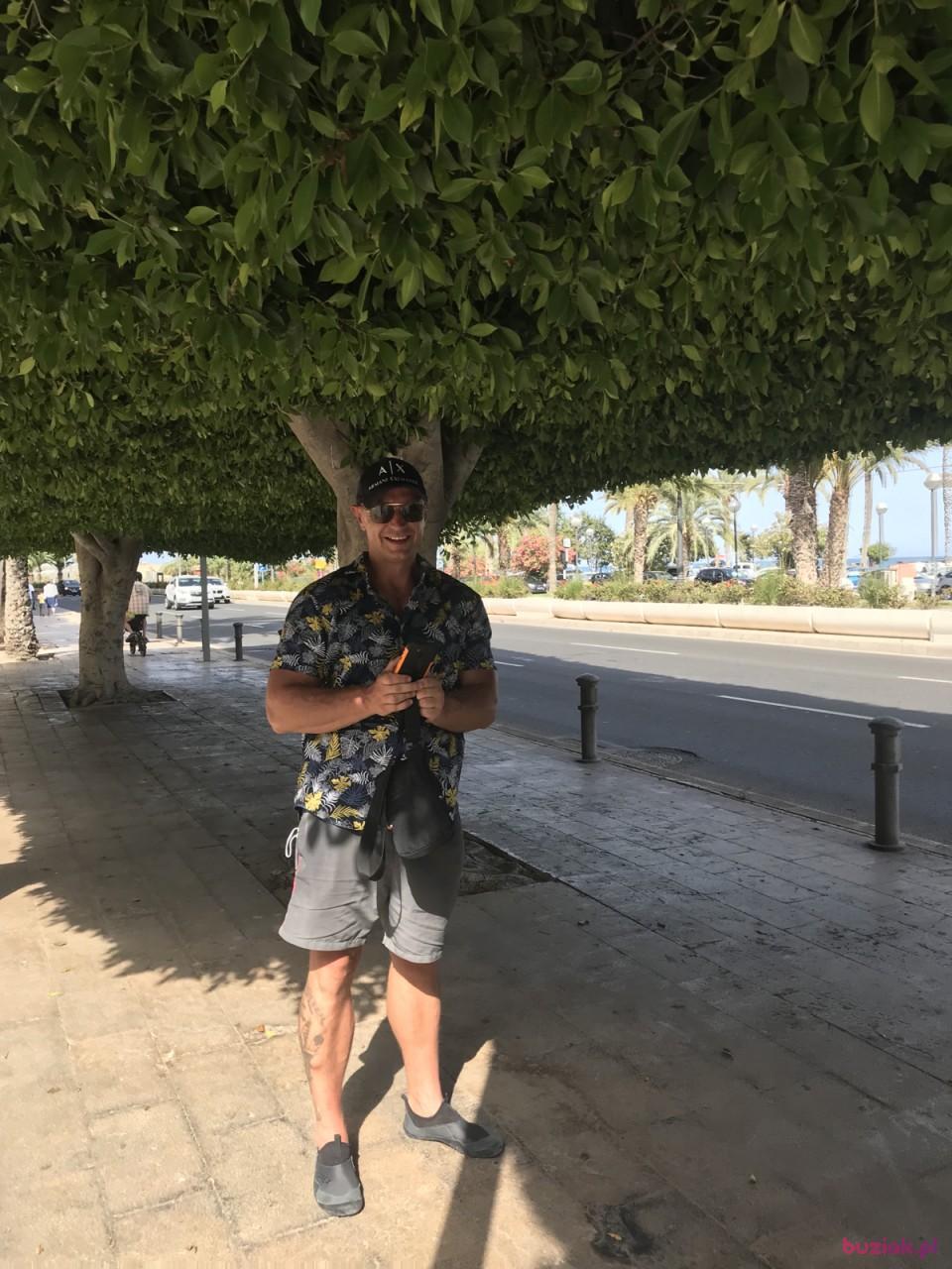 Rob, Mężczyzna, 42, Brema, Niemcy, Zdjęcie: 3