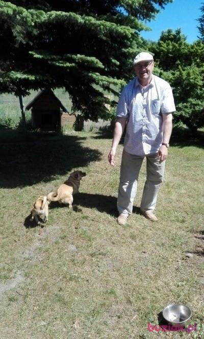 Krzysztof, Mężczyzna, 72, Łódź, Polska, Zdjęcie: 3