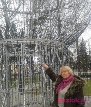 danuta, Kobieta, 79, Tomaszów Mazowiecki, Polska, Zdjęcie: 2
