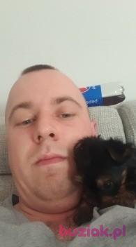 Grzegorz, Mężczyzna, 36, Gliwice, Polska, Zdjęcie: 6