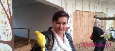 Agnieszka, Kobieta, 46, Chorzów, Polska, Zdjęcie: 3