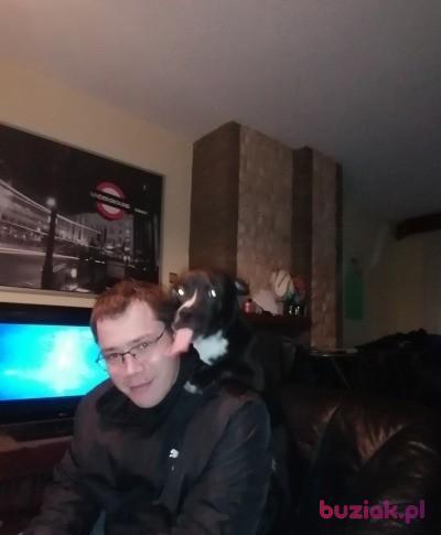 Dawid, Mężczyzna, 36, Arcen, Holandia, Zdjęcie: 2