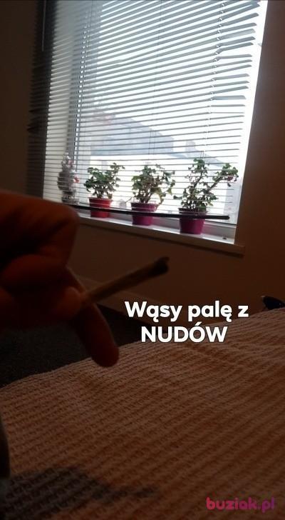 Kacper, Mężczyzna, 40, Wielka Brytania, Zdjęcie: 6