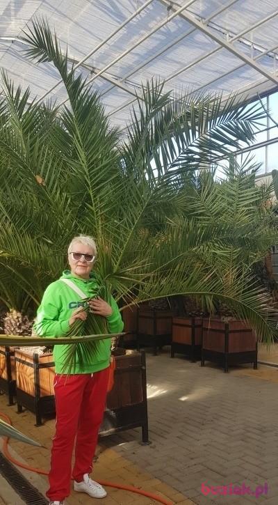 Ewa, Kobieta, 66, Gdańsk, Polska, Zdjęcie: 3