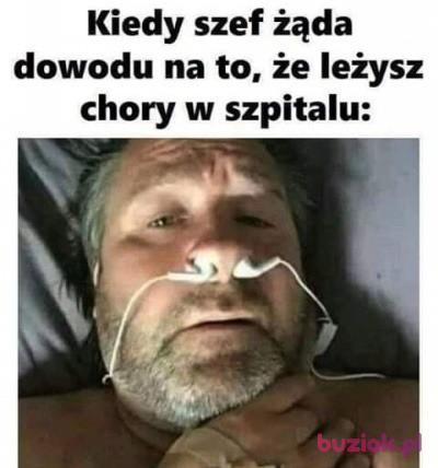 Miron, Mężczyzna, 48, Kłodzko, Polska, Zdjęcie: 2