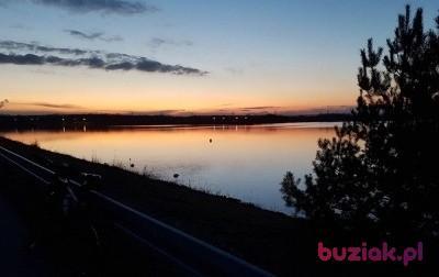 roman, Mężczyzna, 63, Świętochłowice, Polska, Zdjęcie: 5