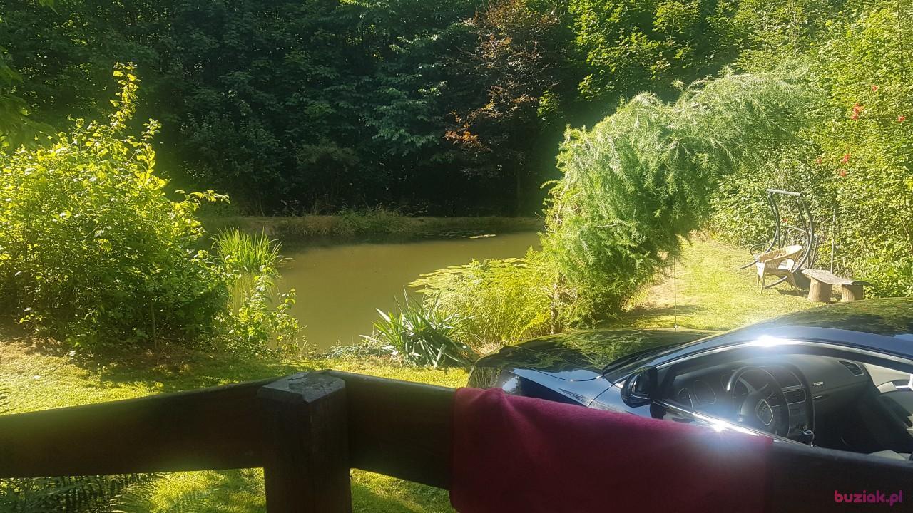 Jacek, Mężczyzna, 47, Berlin, Niemcy, Zdjęcie: 2