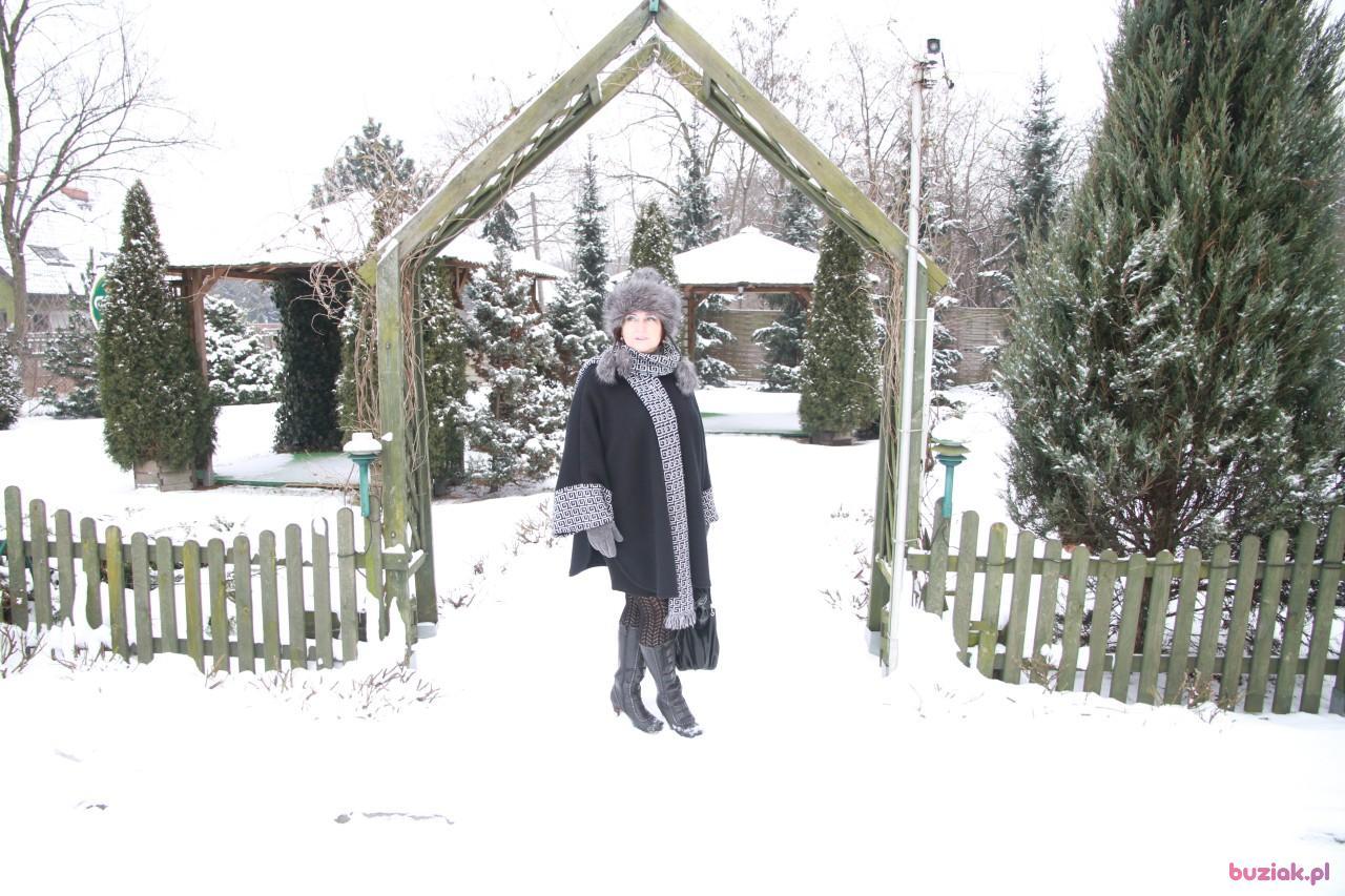 Anna, Kobieta, 62, Gliwice, Polska, Zdjęcie: 12