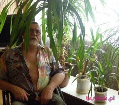 Wojtek, Mężczyzna, 71, Kutno, Polska, Zdjęcie: 4