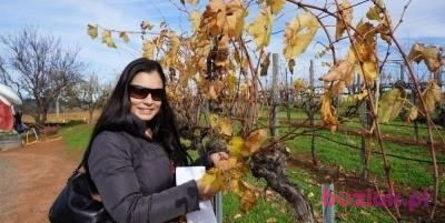 Rose, Female, 41, Oxford, Wielka Brytania, Photo: 2