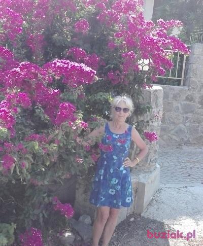 Mariola, Kobieta, 61, Żyrardów, Polska, Zdjęcie: 8