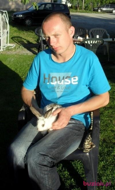Kamil, Mężczyzna, 39, Busko-Zdrój, Polska, Zdjęcie: 3