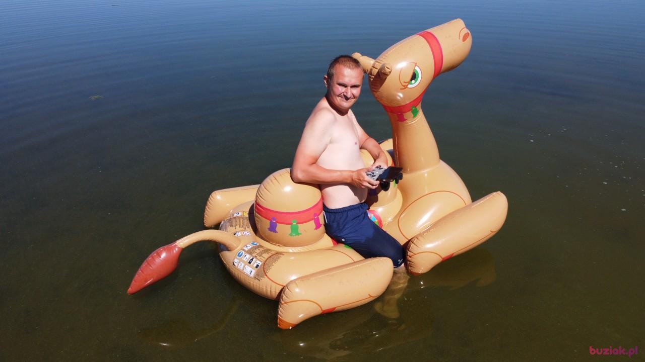 Michał, Male, 37, Zgierz, Polska, Photo: 469