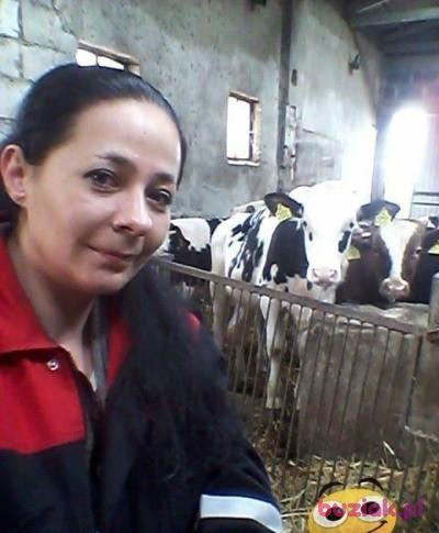 Dorota, Kobieta, 41, Poznań, Polska, Zdjęcie: 1