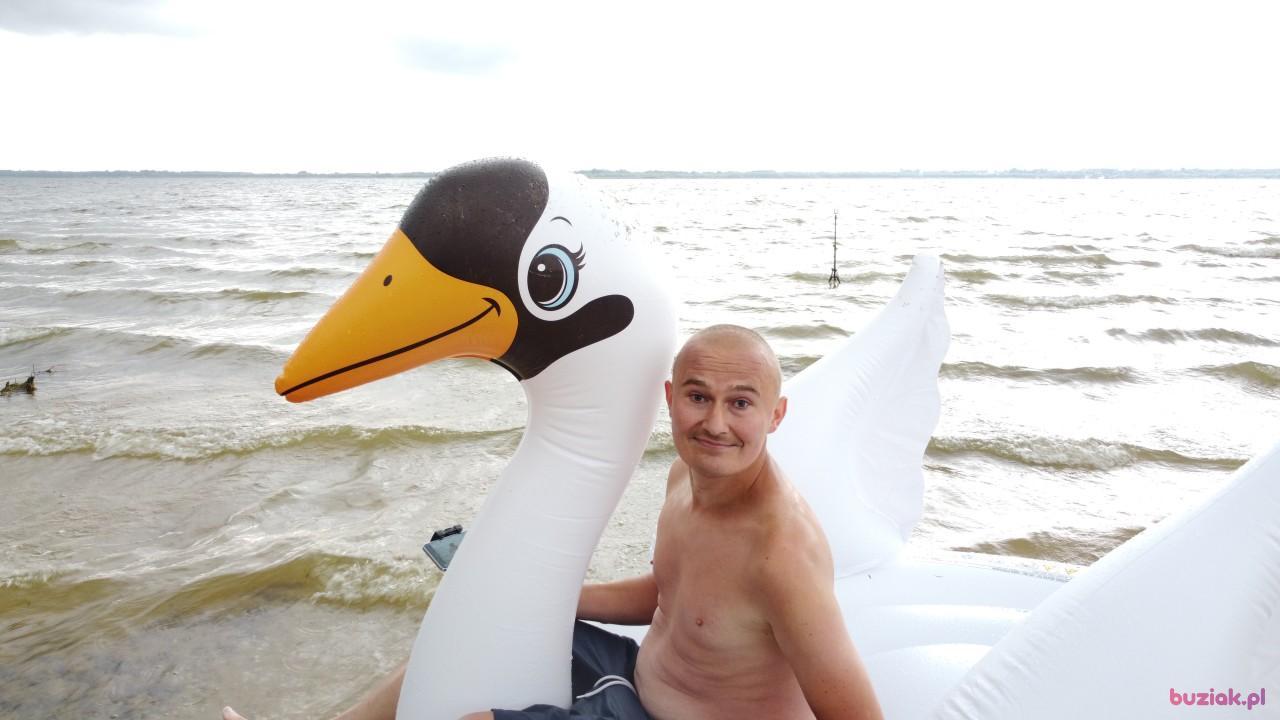 Michał, Male, 37, Zgierz, Polska, Photo: 535