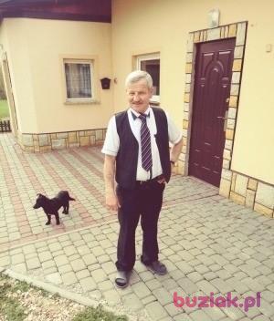 Augustynjanowiak, Mężczyzna, 70, Nowy Targ, Polska, Zdjęcie: 3