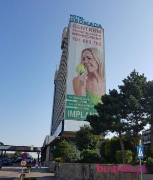 Tello, Mężczyzna, 51, Rotterdam, Holandia, Zdjęcie: 7