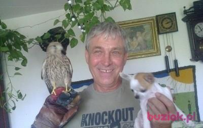 marek, Mężczyzna, 72, Olkusz, Polska, Zdjęcie: 3