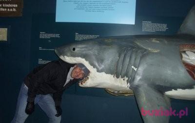 Marcin, Mężczyzna, 47, Trzebiatów, Polska, Zdjęcie: 2