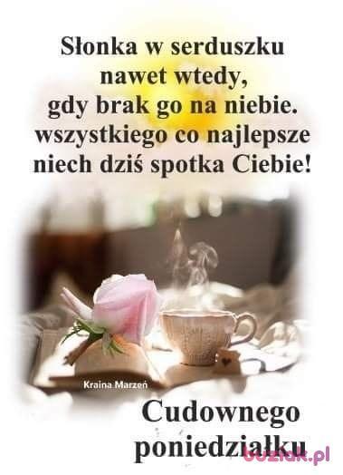Janina, Kobieta, 74, Tarnowskie Góry, Polska, Zdjęcie: 4