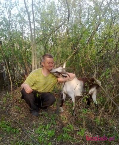 Sergei, Mężczyzna, 52, Gliwice, Polska, Zdjęcie: 2