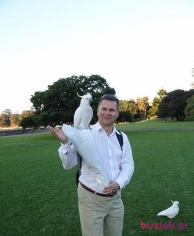 Mirek, Mężczyzna, 54, Szprotawa, Polska, Zdjęcie: 7
