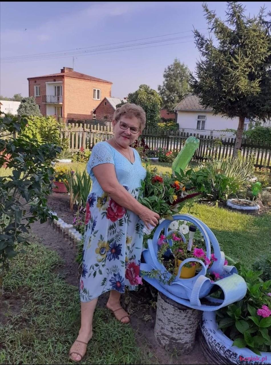 Grazyna, Female, 70, Boguszów-Gorce, Polska, Photo: 1