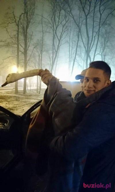 Kamil, Mężczyzna, 36, Niemcy, Zdjęcie: 3
