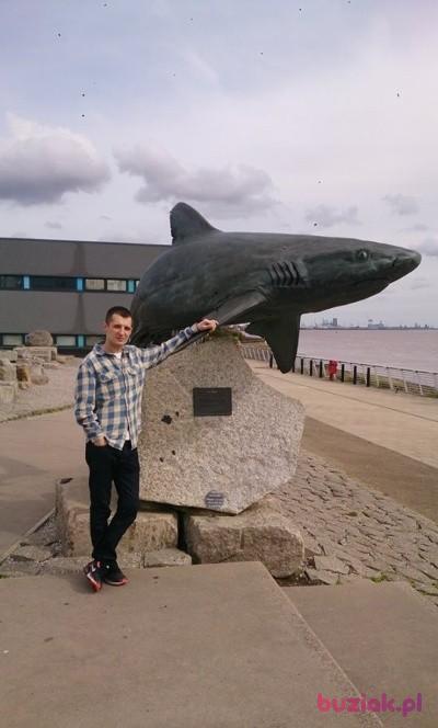 Kamil, Mężczyzna, 37, Northampton, Wielka Brytania, Zdjęcie: 6