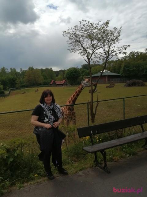 ASIA, Kobieta, 45, Chełmno, Polska, Zdjęcie: 2