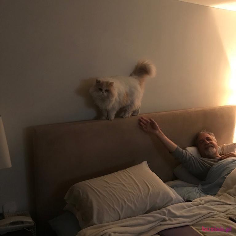Pawel, Mężczyzna, 70, Łódź, Polska, Zdjęcie: 2
