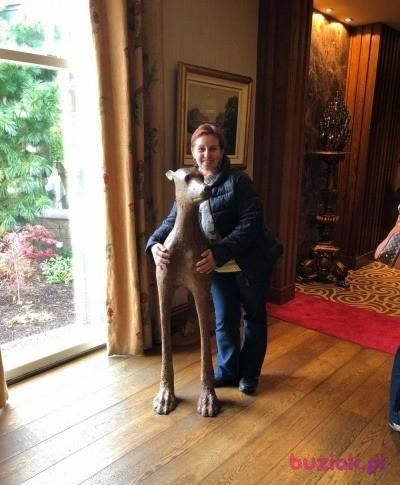 Beata, Kobieta, 61, Bournemouth, Wielka Brytania, Zdjęcie: 4