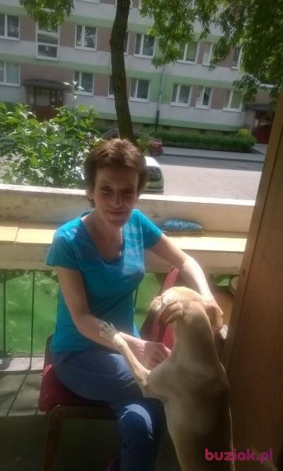 malgorzata, Kobieta, 56, Kraków, Polska, Zdjęcie: 5