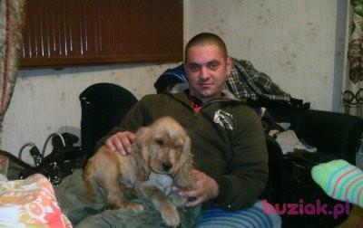 sebastian, Mężczyzna, 43, Kraśnik, Polska, Zdjęcie: 2