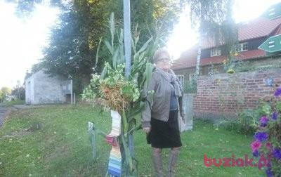 grazyna, Kobieta, 73, Sandnes, Norwegia, Zdjęcie: 2