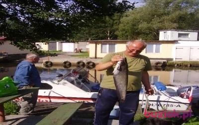 mirek, Mężczyzna, 68, Police, Polska, Zdjęcie: 2