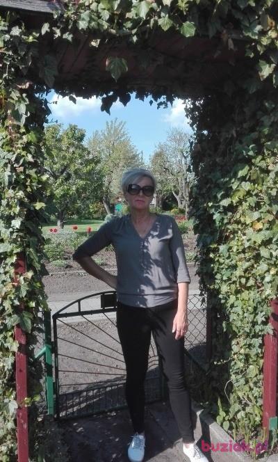 Jolanta , Kobieta, 67, Inowrocław, Polska, Zdjęcie: 4