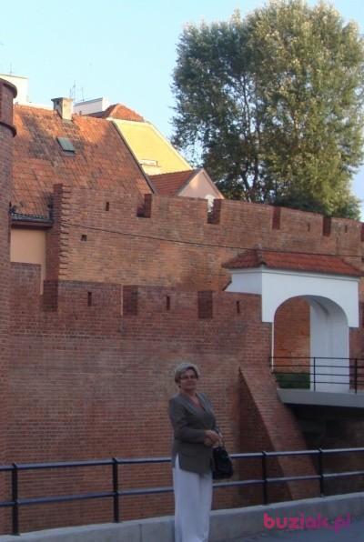 Sabina, Kobieta, 76, Bełchatów, Polska, Zdjęcie: 3