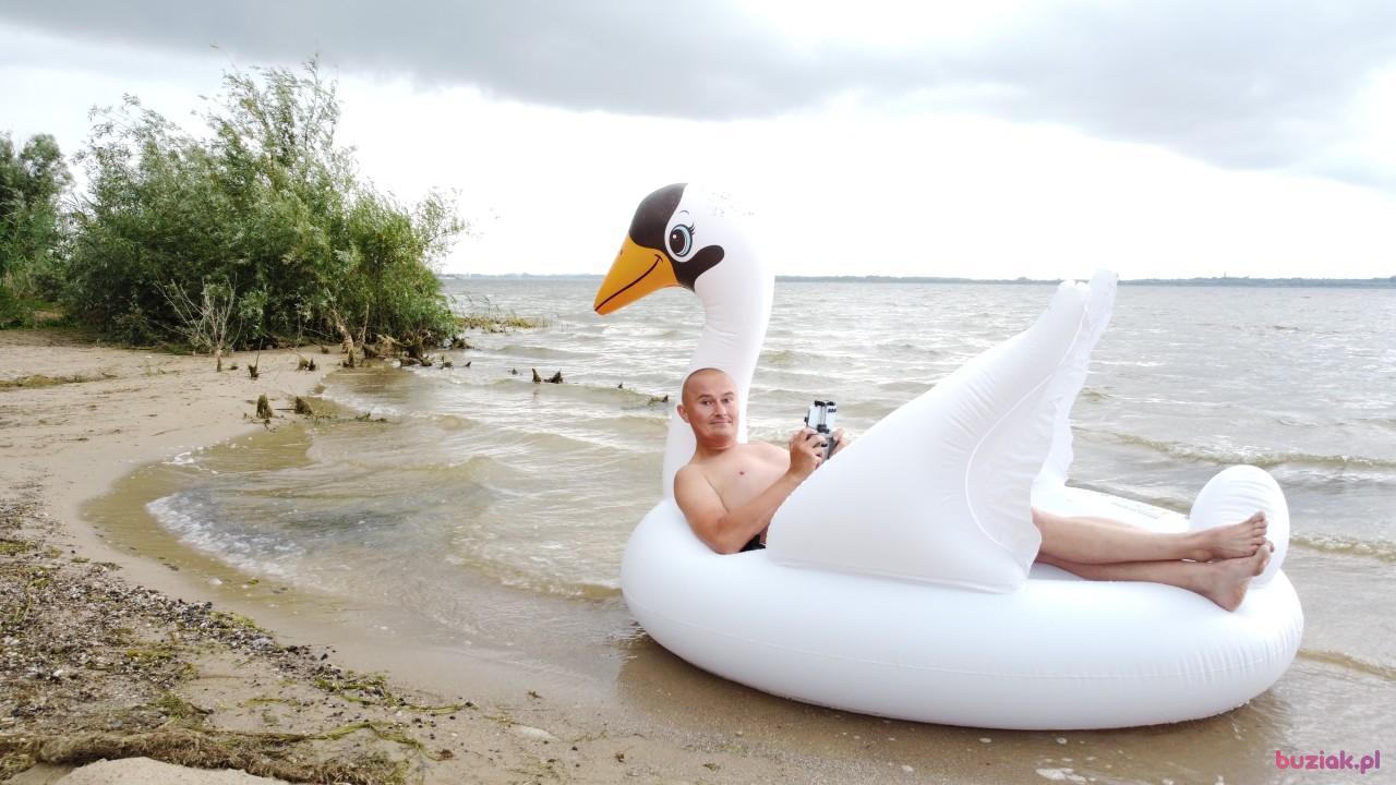 Michał, Male, 37, Zgierz, Polska, Photo: 555
