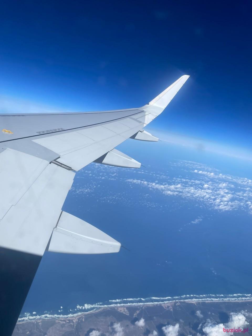 Ela, Kobieta, 44, Hamburg, Niemcy, Zdjęcie: 8
