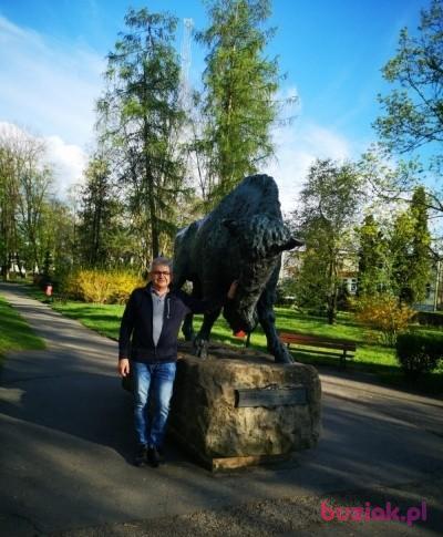 absynt2, Mężczyzna, 67, Kraków, Polska, Zdjęcie: 2
