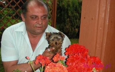 stefan46, Male, 59, Wielka Brytania, Photo: 2