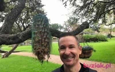 Leonard, Mężczyzna, 62, Calabasas, USA, Zdjęcie: 2