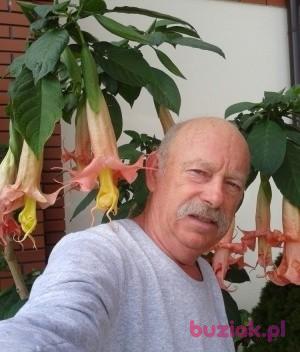 Bogdan , Mężczyzna, 66, Gostynin, Polska, Zdjęcie: 3