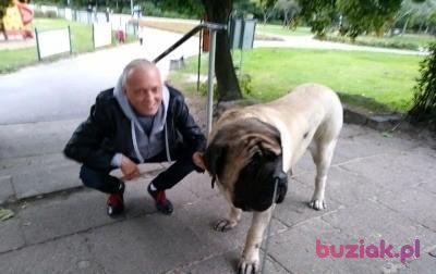 Michał, Mężczyzna, 47, Płock, Polska, Zdjęcie: 2