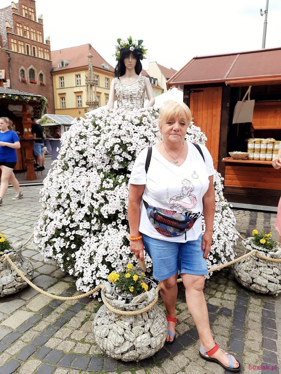 Krynia, Kobieta, 66, Jawor, Polska, Zdjęcie: 9